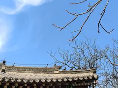 -护国法轮寺