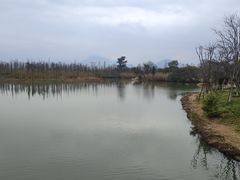 -三垟湿地