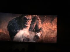 -CGV影城(黄河道ScreenX店)