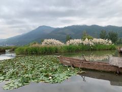 -西昌邛海湿地