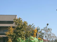 -Green Option(官舍店)