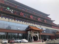 -胡杨记忆(和平路店)