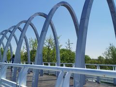 -大兴滨河森林公园