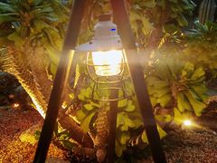 -Brew Farm·精酿农场海滨悬崖餐厅