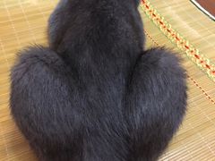 -芭比堂动物医院·犬猫全科·异宠专科(雁塔分院)