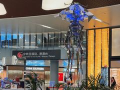 -杭州萧山国际机场
