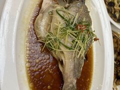 -眉州东坡(亚运村店)
