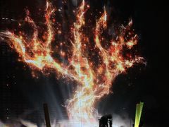 -南京奥林匹克体育中心-体育馆