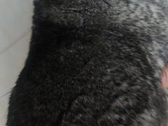 -雨林宠物医院 非犬猫异宠专科