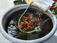 -悦真雅院·四合院·清真私房菜(雍和宫店)