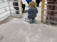 -宁波冰雪大世界(北仑区)