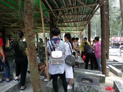 游乐设施-西涌国际滨海旅游区