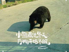 -西安秦岭野生动物园
