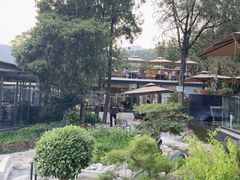 -蘇河湾·新鲁菜·泰山宴(泰山店)