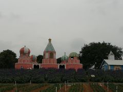 -松山湖梦幻百花洲