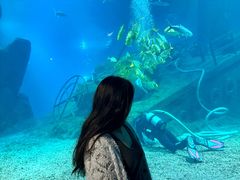 -福州罗源湾海洋世界旅游区