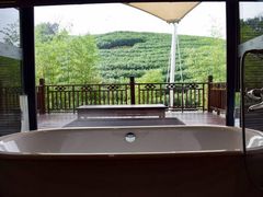 -帐篷客·溪龙茶谷度假酒店