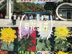 -南山植物园