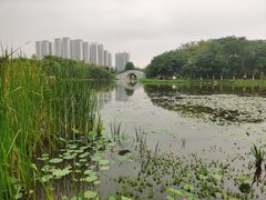 -映月湖公园