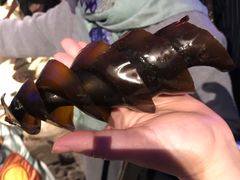 -悉尼海洋生物水族馆