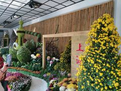 -杭州植物园