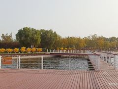 -天津金海湖