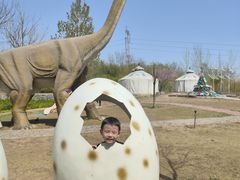 -西部长青自然儿童乐园