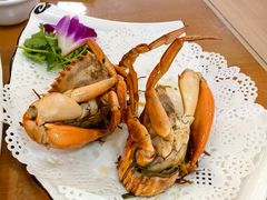 -友强·22年特色海鲜大排档·闽菜(厦门美食地标店)