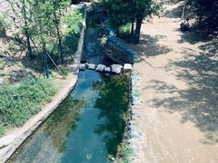 -白水寺森林公园