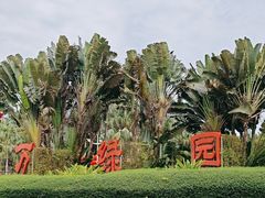 -万绿园