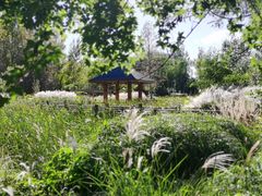 -野鸭湖国家湿地公园