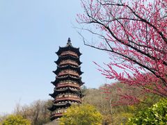 -牛首山文化旅游区