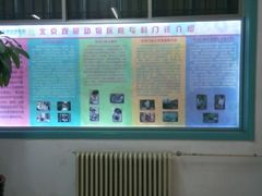 -北京观赏动物医院·24小时大型综合·猫专科·异宠专科