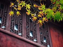 -南京市民俗博物馆(甘熙故居)