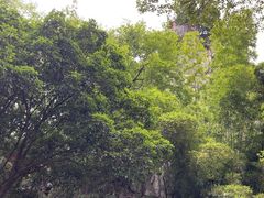 -桂林独秀峰王城景区