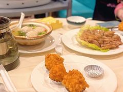 -丁老爷子苏香圆