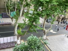 -东南大学(四牌楼校区)