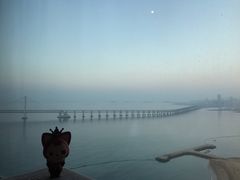 -星海湾跨海大桥