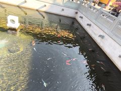 -太平禅寺