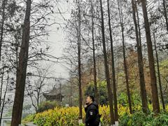 -重庆彩云湖湿地公园