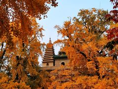 -北京石刻艺术博物馆(五塔寺)