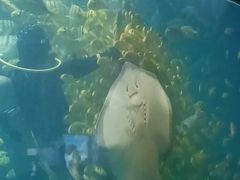 -洛阳龙门海洋馆