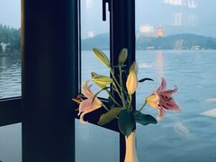 -柳莺湖上·湖景餐厅·江南菜(西湖店)