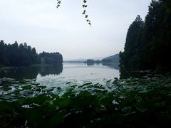 -东湖落雁景区