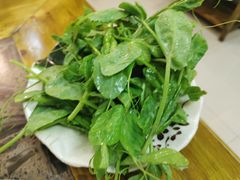 -乳仔牛牦牛汤锅 烤羊排(松潘古城店)