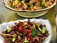 -珠梅土鸡(娄底市娄星区煤炭局东)