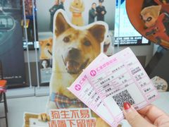 -汇金缪斯影城(八佰伴店)