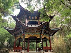 -蝴蝶泉公园