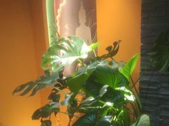 -泰古龙抓龙筋·spa按摩(静安店)