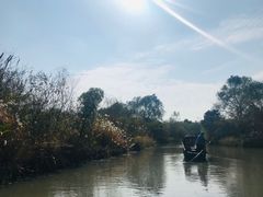 -溱湖国家湿地公园